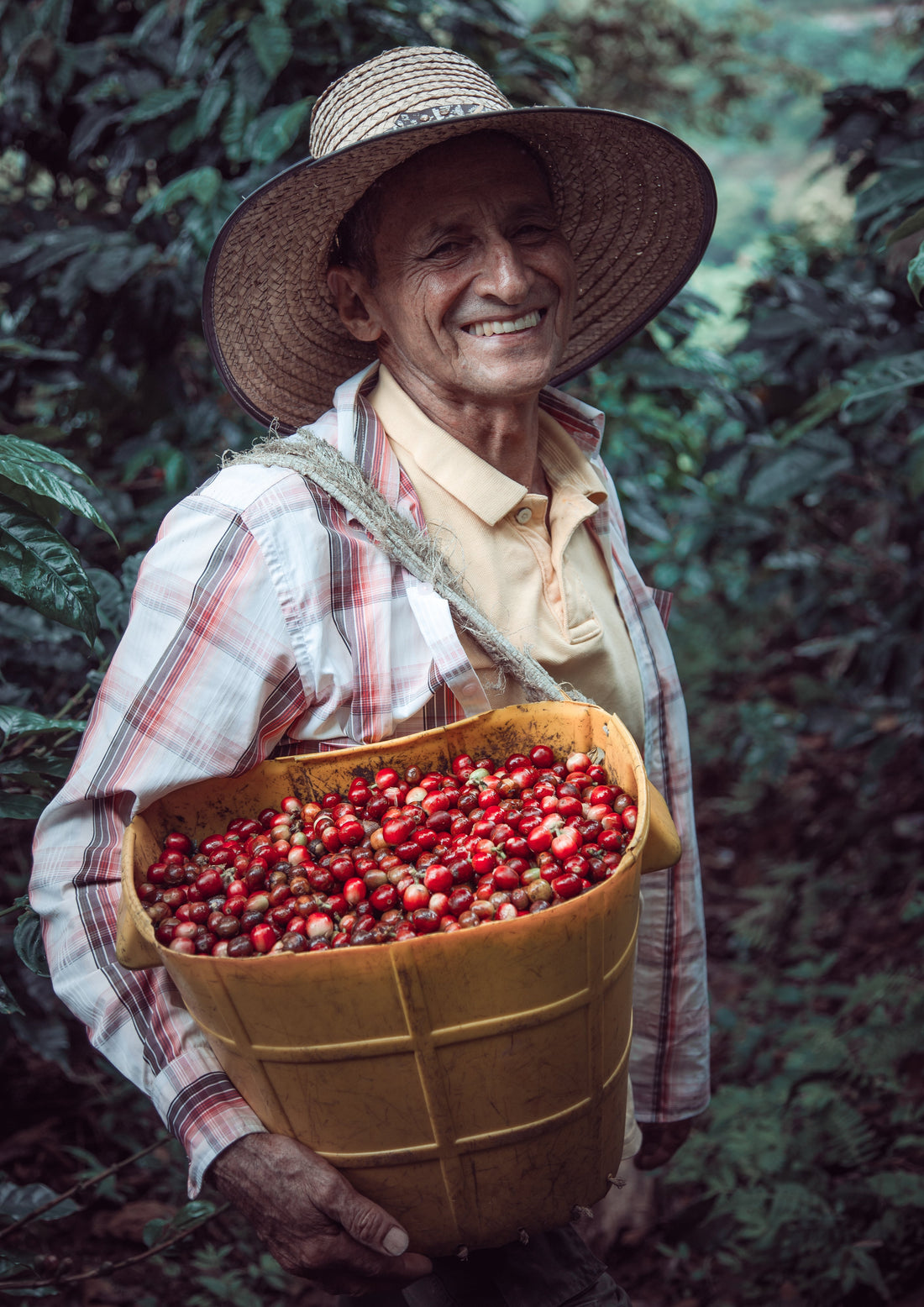 The Health Benefits of Colombian Coffee: A Sip of Wellness